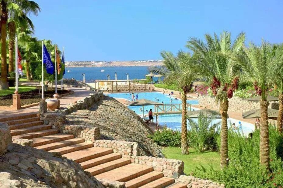 Отель в египте риф оазис в шарме. Sharm reef 4 египет. Шарм эль шейх отель faraana reef 4. Sharm reef 3* шарм-эль-шейх. Club reef шарм-эль-шейх египет.