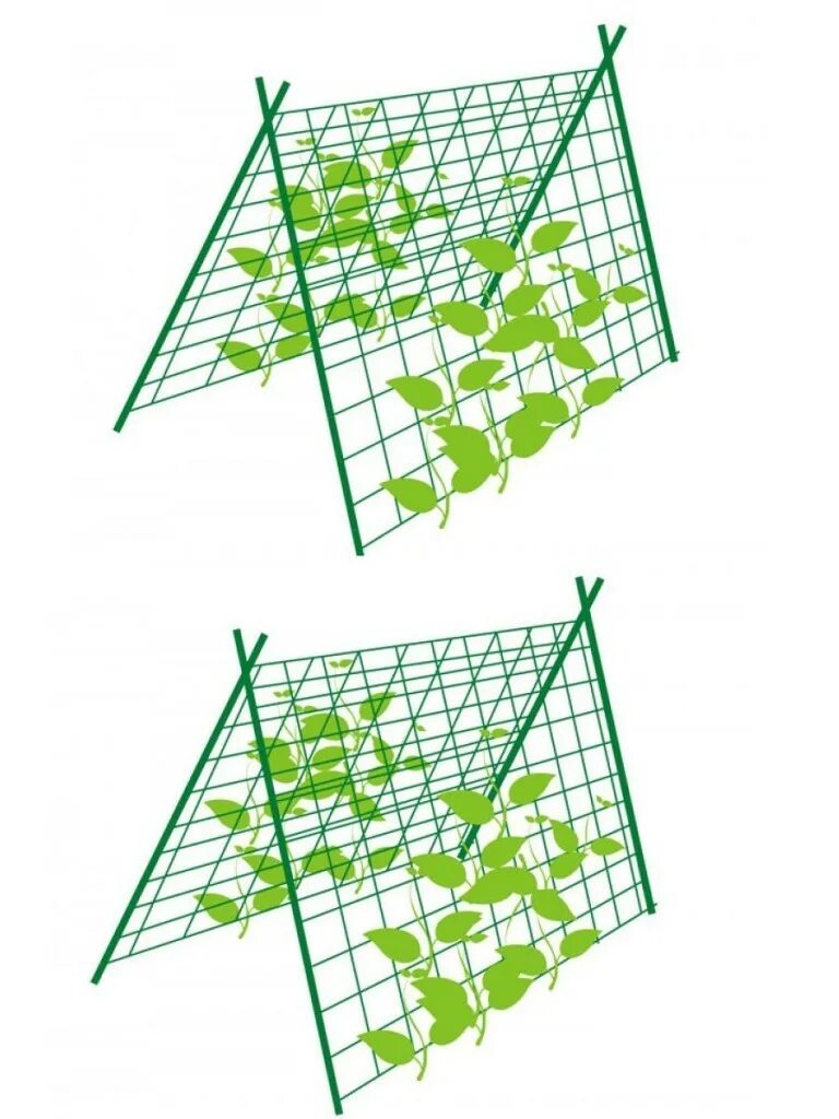 Сетка Шпалерная для огурцов. Сетка для огурцов 2х5м. Сетка для огурцов Шпалерная для огурцов. Огурцы на Шпалерной сетке.