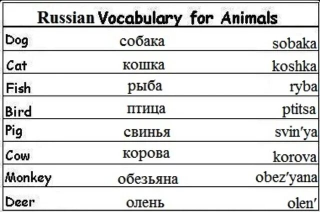 Https русское слово. Russian Vocabulary. Базовые русские слова для иностранцев. Russian Words. Vocabulary in Russian.
