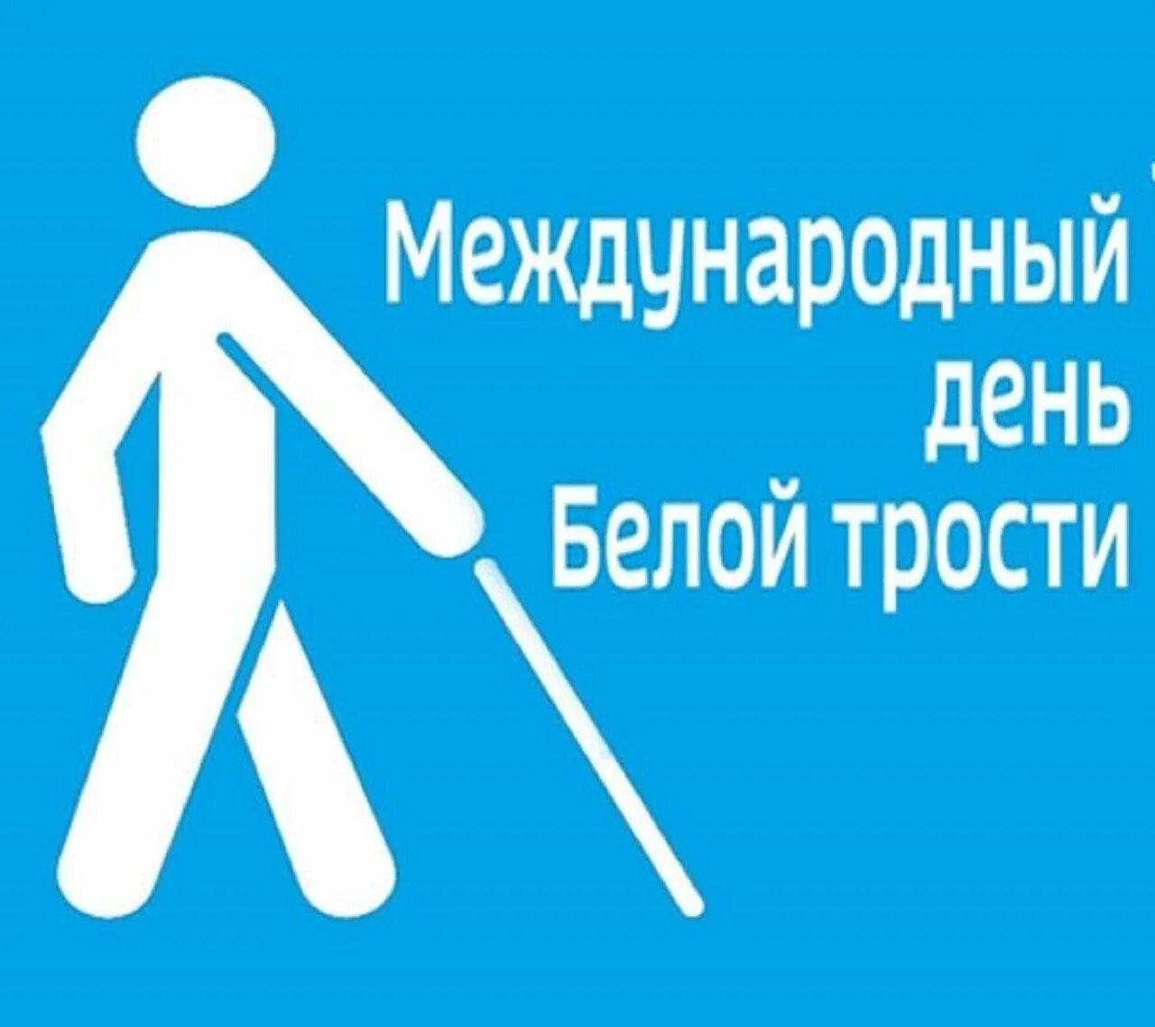 Фестиваль «белая трость», гурцкая. Школа белая трость. Школа белая трость. Международный благотворительный фестиваль «белая трость». Трость собака.