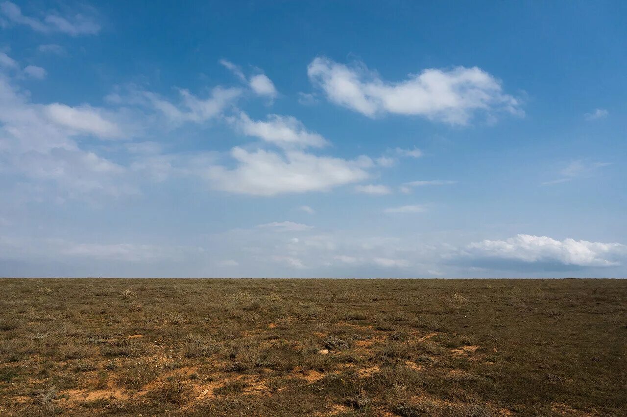 Мыс тарханкут степь. Тарханкут степь ковыль. Тарханкут степь ковыль. Казантипский заповедник керчь. Цветущие степи крыма тарханкут.