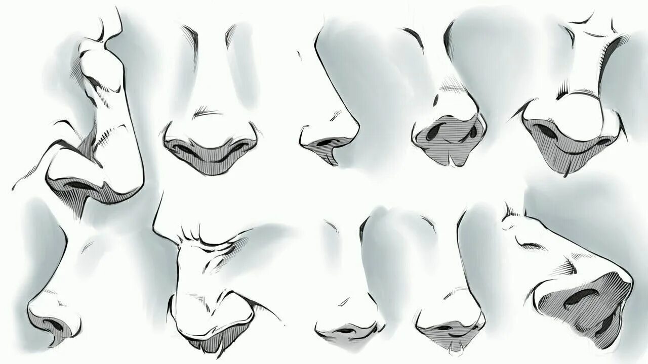 Нос спереди референс. Нос снизу референс. Нос сбоку референс. Нос в разных ракурсах.