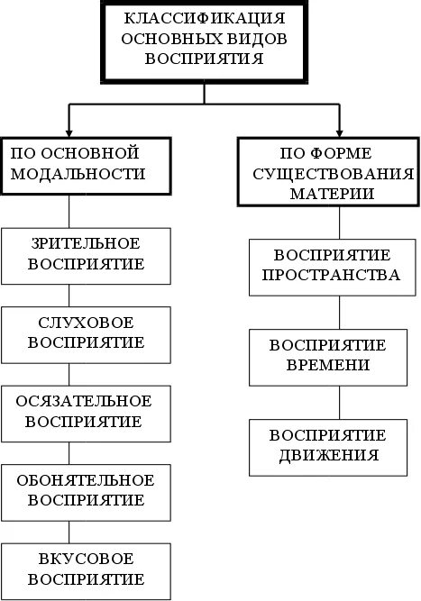 Формы виды восприятия. Классификация восприятия в психологии. классификация видов восприятия в психологии. классификации восприятий маклаков. классификация форм восприятия в психологии.