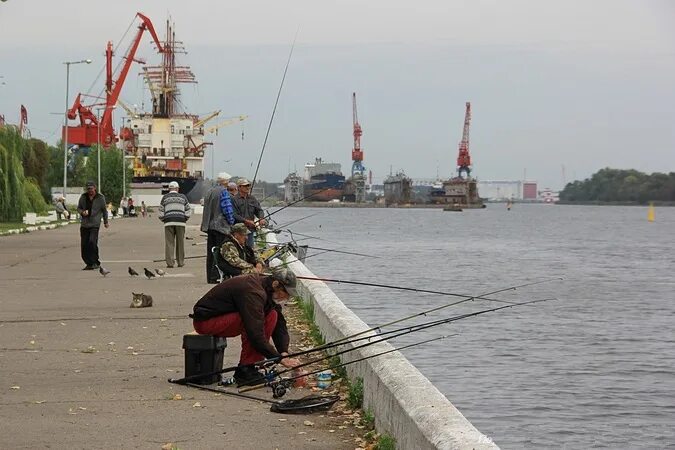 Калининград ловит рыбу. Рыболовство Калининградской области. Рыбалка в Калининграде 2022. Рыбалка Калининград 2023. Рыбалка река Матросовка Калининградская область.