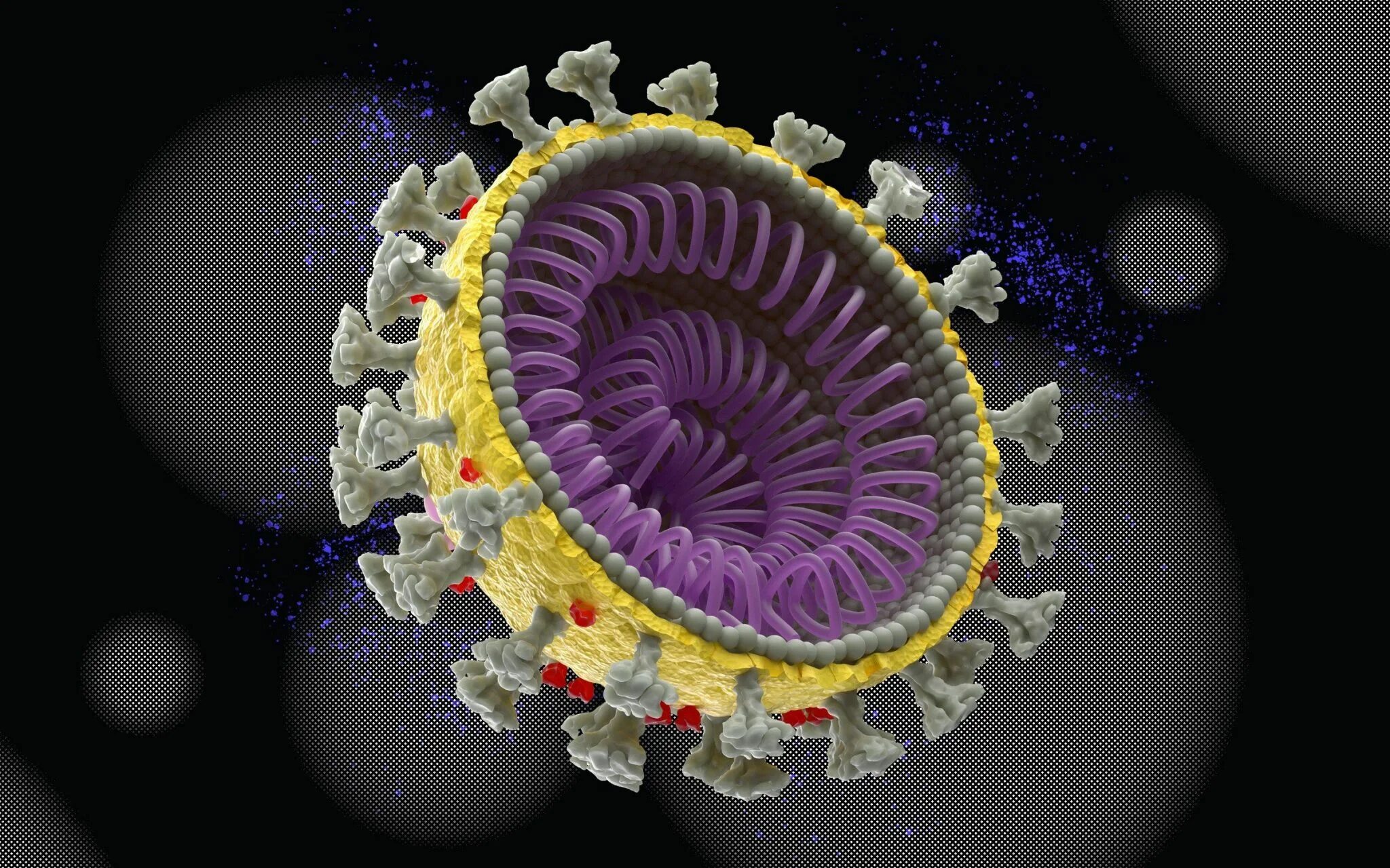 Коронавирус строение. Ворсинки коронавируса. Вирус ковид. Клетка коронавируса.