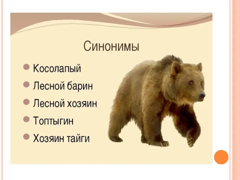 Медведь какой слова признаки. Медведь синонимы. Синонимы к слову медведь. Косолапый синоним. Антонимы к слову медведь.