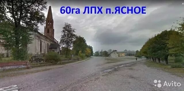 Погода в ясное славский район. Посёлок красное Славский район Калининградская. Ясное Калининградская область. П ясное Славского района. Поселок ясное Славского района Калининградской области архитектура.