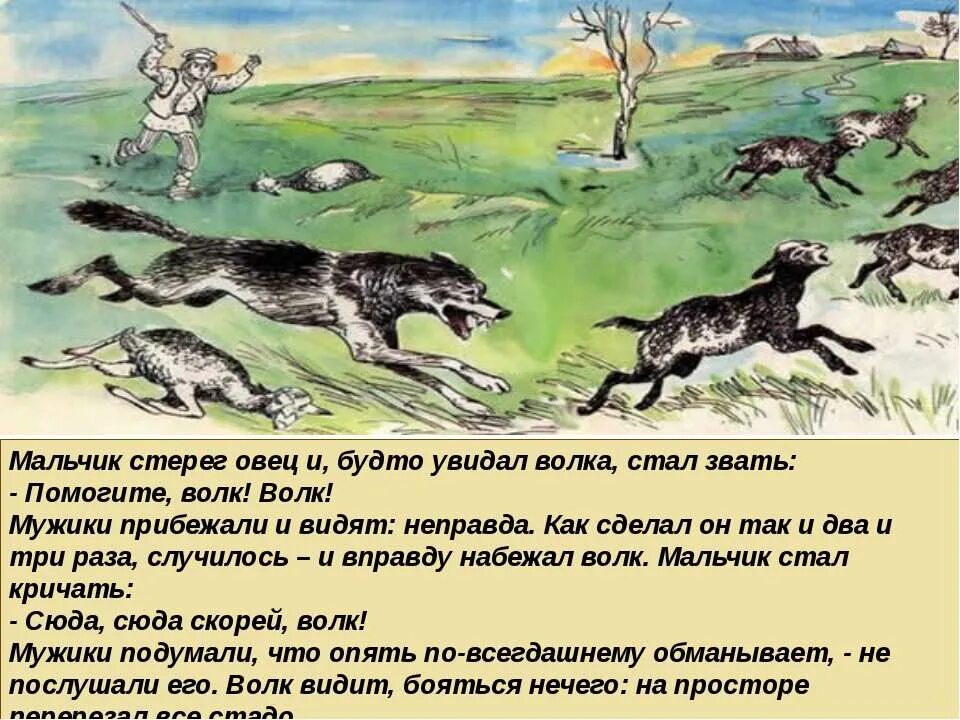 Толстой лгун рассказ. Басня волк и кот текст. Басня мальчик и волки. Сказка волки волки кричал мальчик. Толстой лгун рассказ.