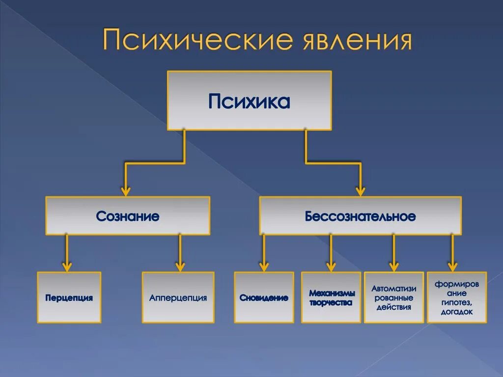 Психические явления. Структура психических явлений. Психические процессы и явления. Классификация психических явлений схема. Психические явления определения