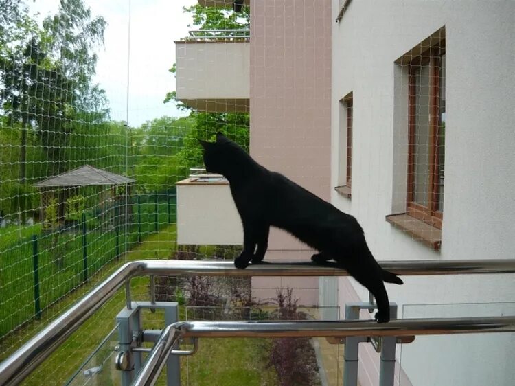Балкончик антикошка. Решетка антикошка 3. Антикот на забор. Ограждение на балкон для кошек.