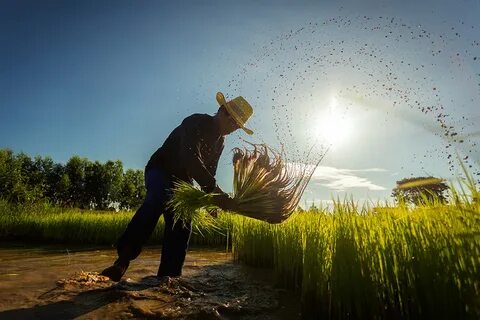 Farming happy
