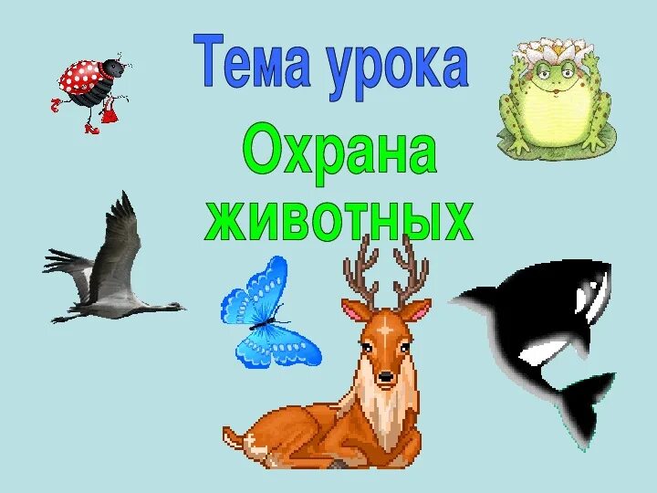 Проект на тему животные 3 класс Картинки МИР ЖИВОТНЫХ 8 КЛАСС