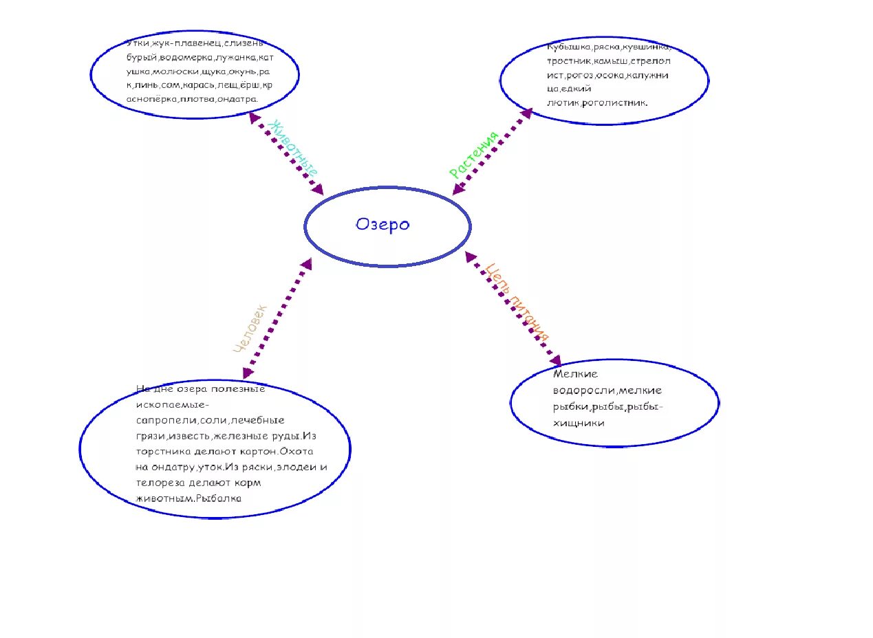 Крупные реки казахстана. Кластер по теме гидросфера. Кластер «типы озёр». Озеро кластер. Воды суши презентация.