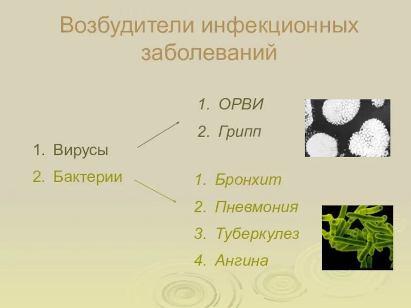 Возбудители инфекционных заболеваний. Возбудители заразных болезней. Вирусы возбудители инфекционных заболеваний. Возбудители инфекционных заболеваний вирусы и бактерии. Возбудители инфекционных заболеваний это