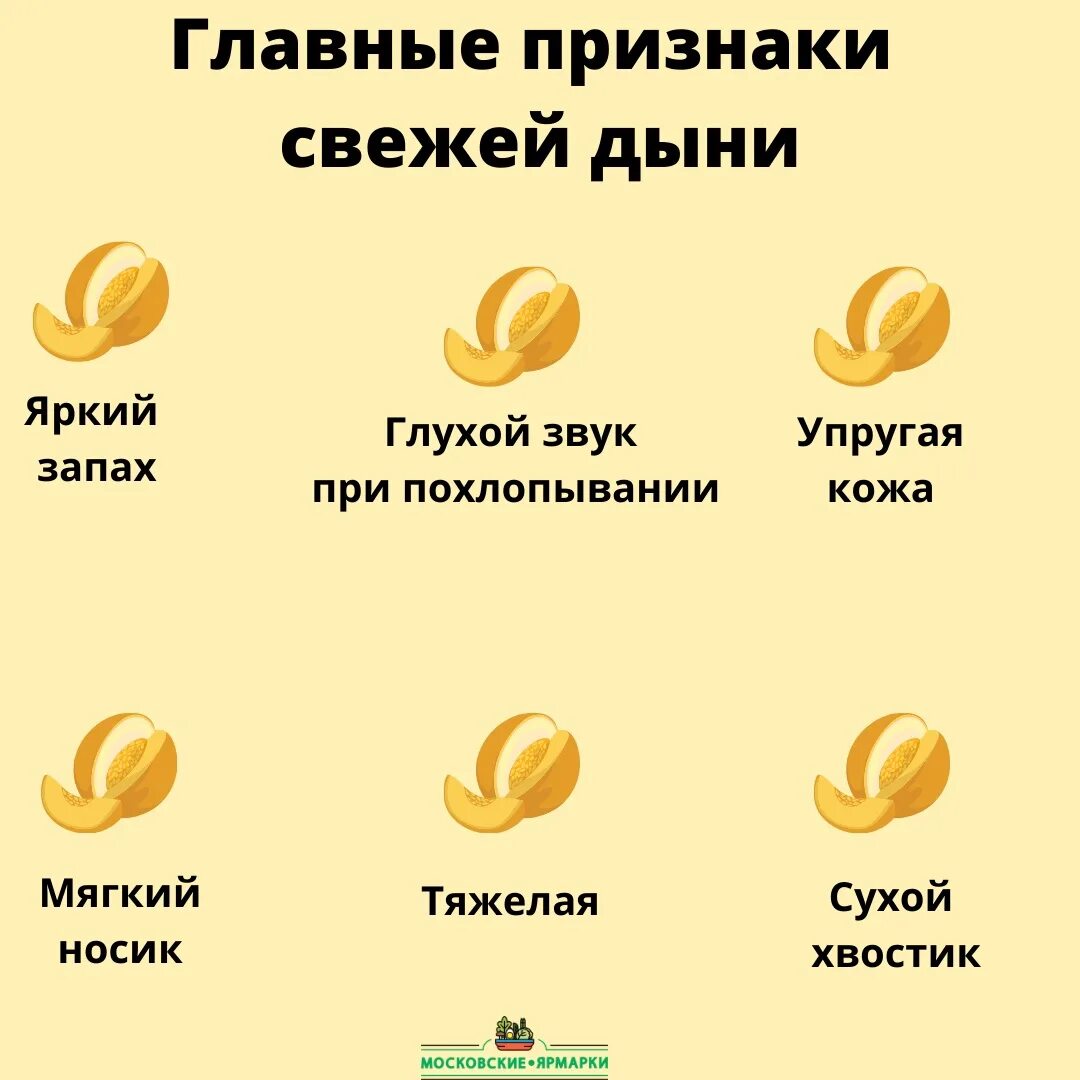 В каком месяце дыни. Как выбрать дыню. Какмправильно выбрать дыню. Как выбрать дыню колхозницу. Как правильно выбрать дыню.