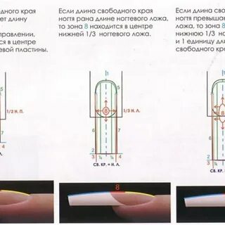 Архитектура ногтя