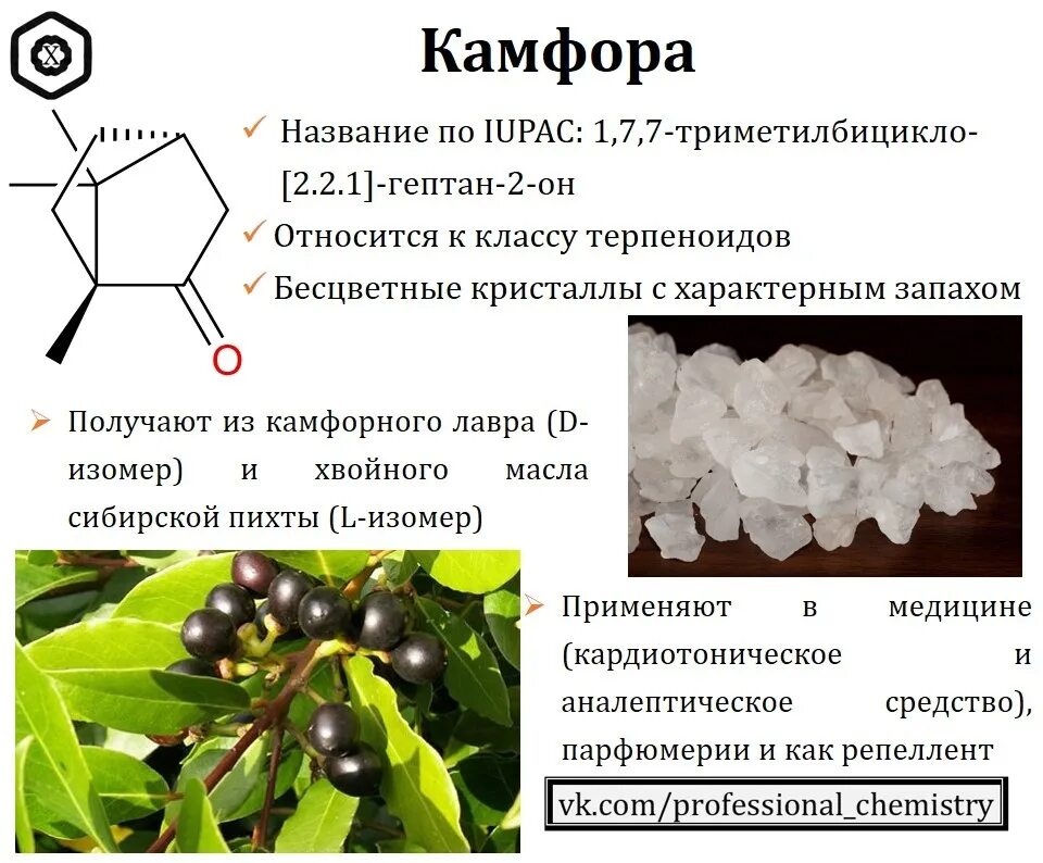 Камфора для чего