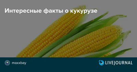 Интересная кукуруза