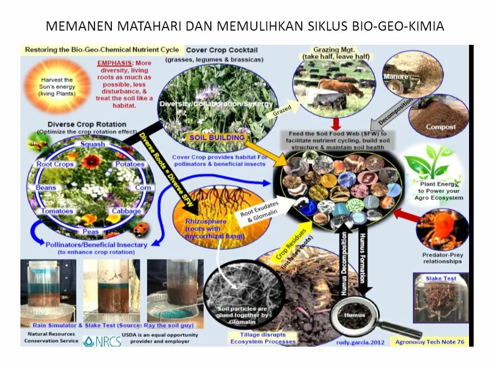 Alfa bio geo. Geo bio. Биосан лого. Alfa bio geo. Neo geo bios mame.