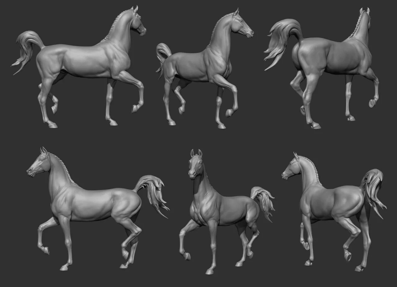 Лошадь позы референс. Конь референсы. Лошадь референс анатомия сбоку. Референс лошади спирит. Конь референс.