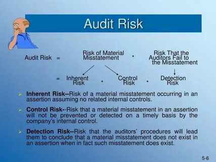 Audit risk