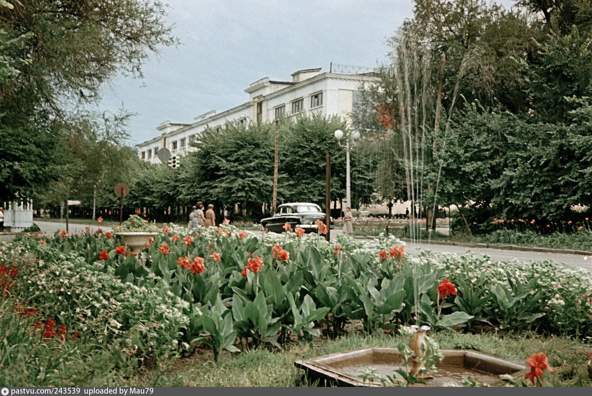 Цветы советских времен. Казахская ССР Алма-Ата. Алма Ата в 1950. Алма Ата сквер. Алма-Ата в 50 годы.