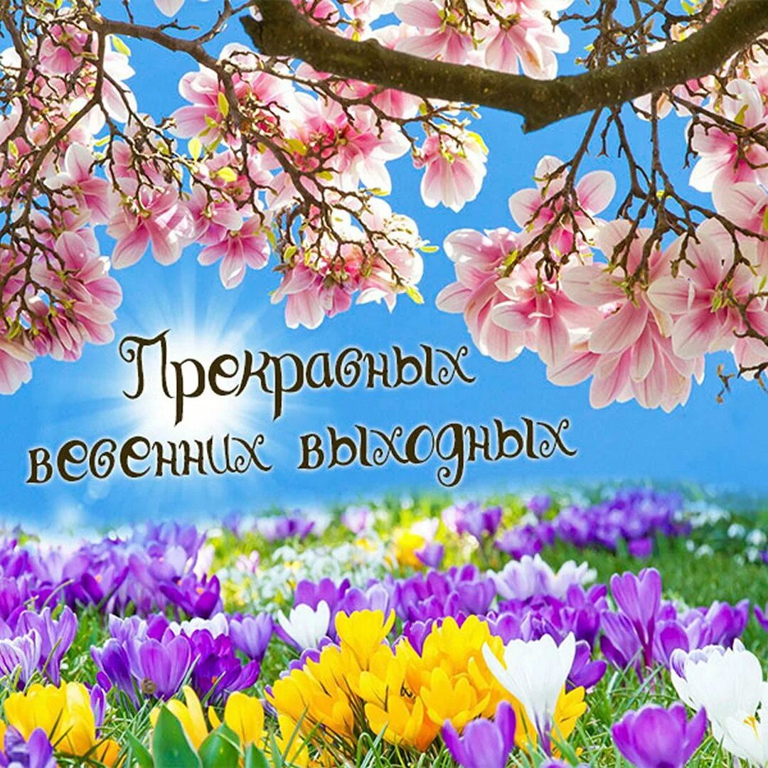 Хороших весенних выходных