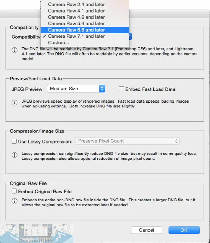 Dng converter. Adobe dng converter. dng файл. dng формат. dng файл как конвертировать в jpg.