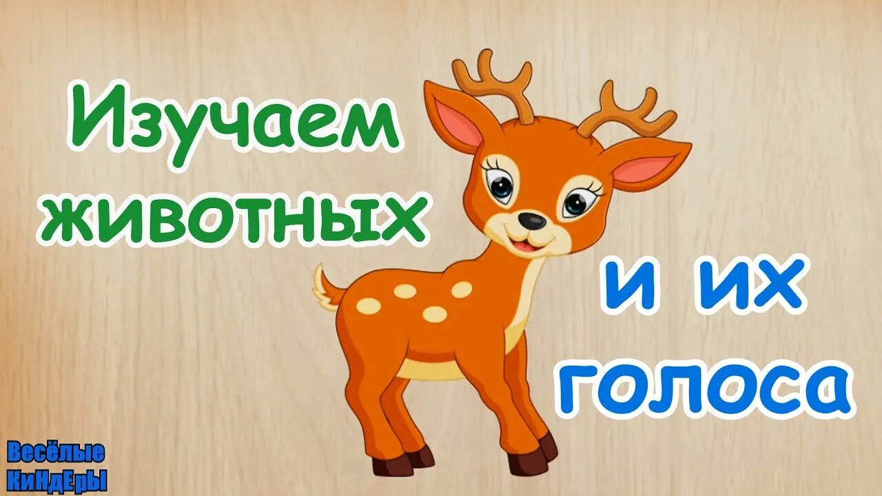 Голоса животных для детей отгадать. Голоса животных для детей отгадать