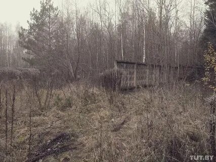 Объект назад