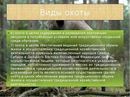 Охотничьи ресурсы виды охоты