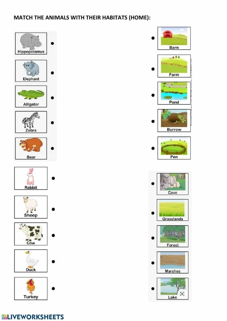 We should animals habitats. Animals and their Habitats. Animal Habitats. Habitats Worksheets. Animals and their Habitats Worksheets.