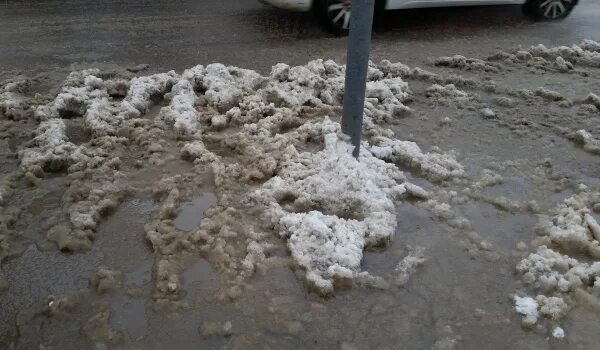 Влияние противогололедных реагентов на растительность вид проекта GISMETEO: Создано экологичное противогололедное средство из винограда