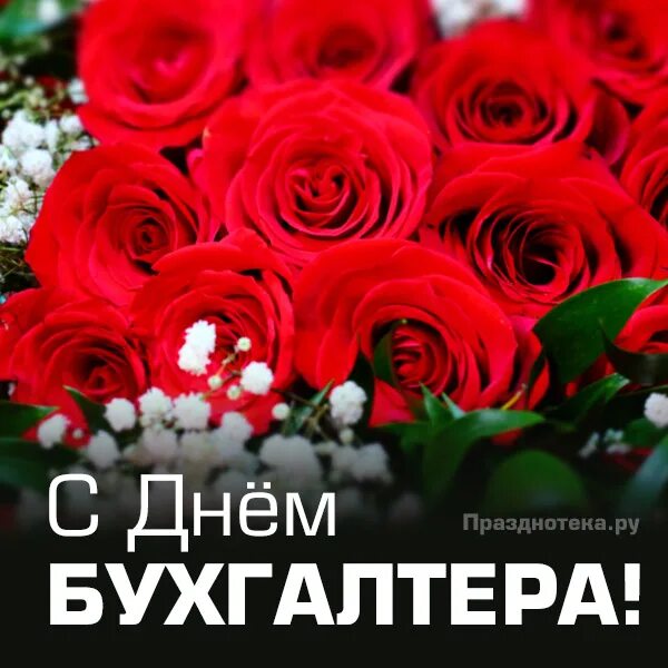 21 ноября день бухгалтера открытки. С днем бухгалтера 21 ноября картинки. 21 Ноября 2022. Открытки.jpg. Фото скидки в честь дня бухгалтера.