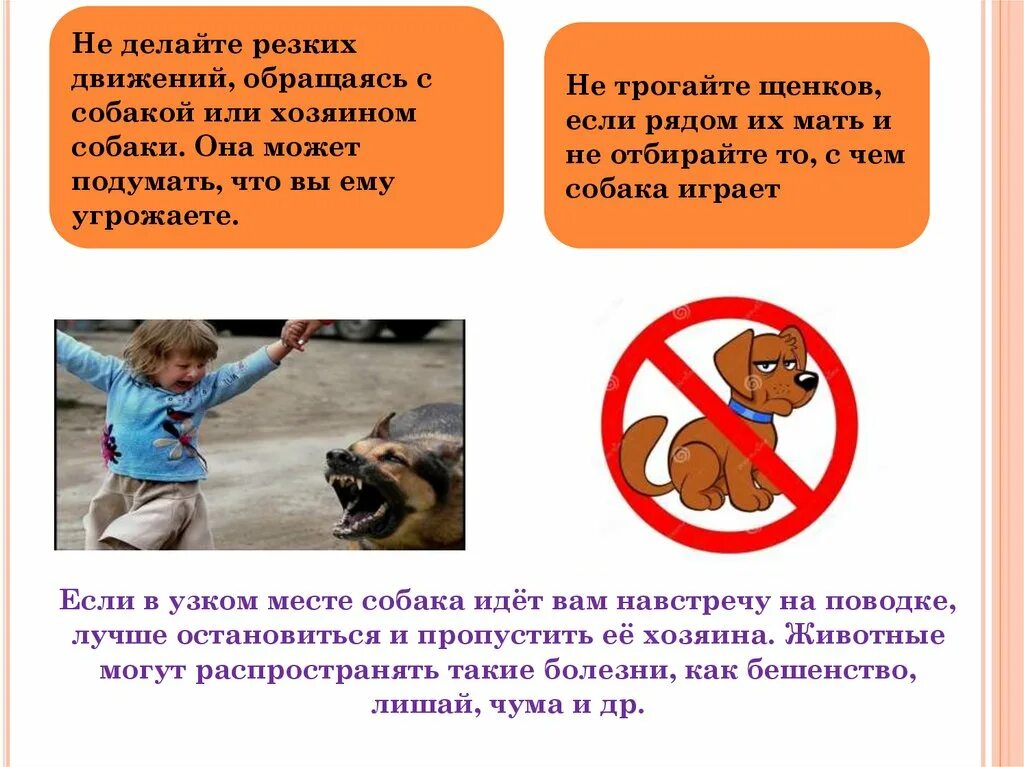 Животные и наша безопасность 3 класс. Безопасность при обращении с животными. Правила поведения с животными. Правила поведения с животными для детей. Правила поведения с собаками для детей.