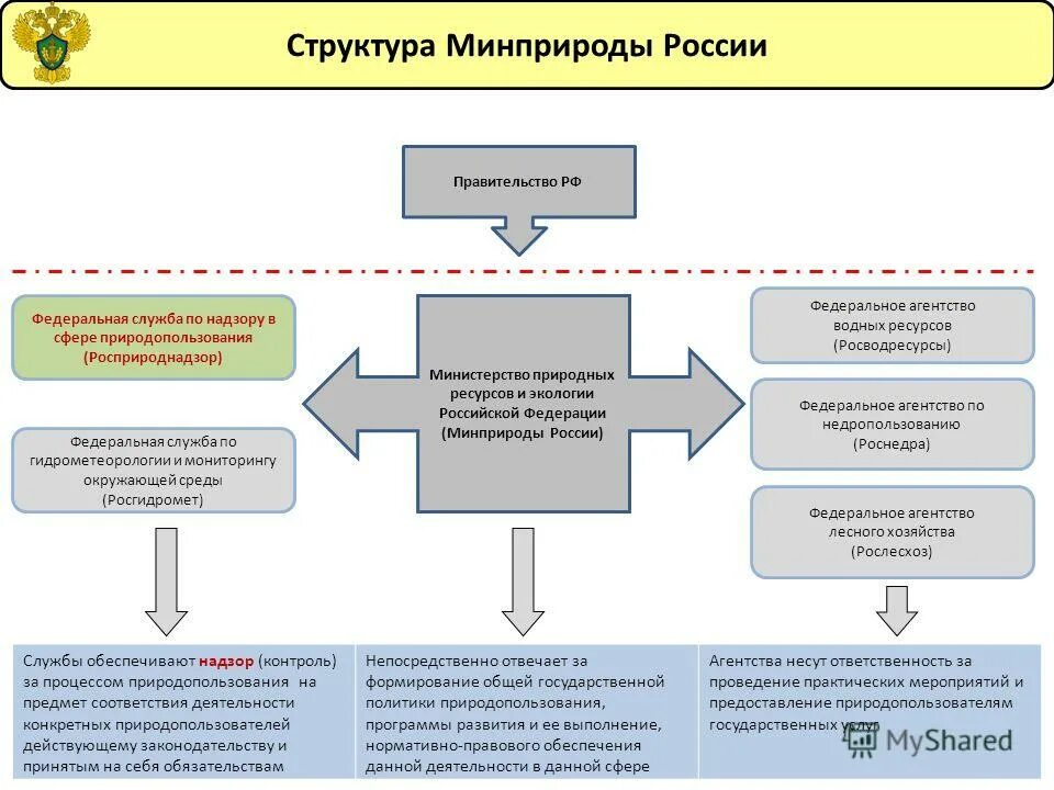 Министерство природных ресурсов структура