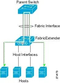 Forge config api port fabric