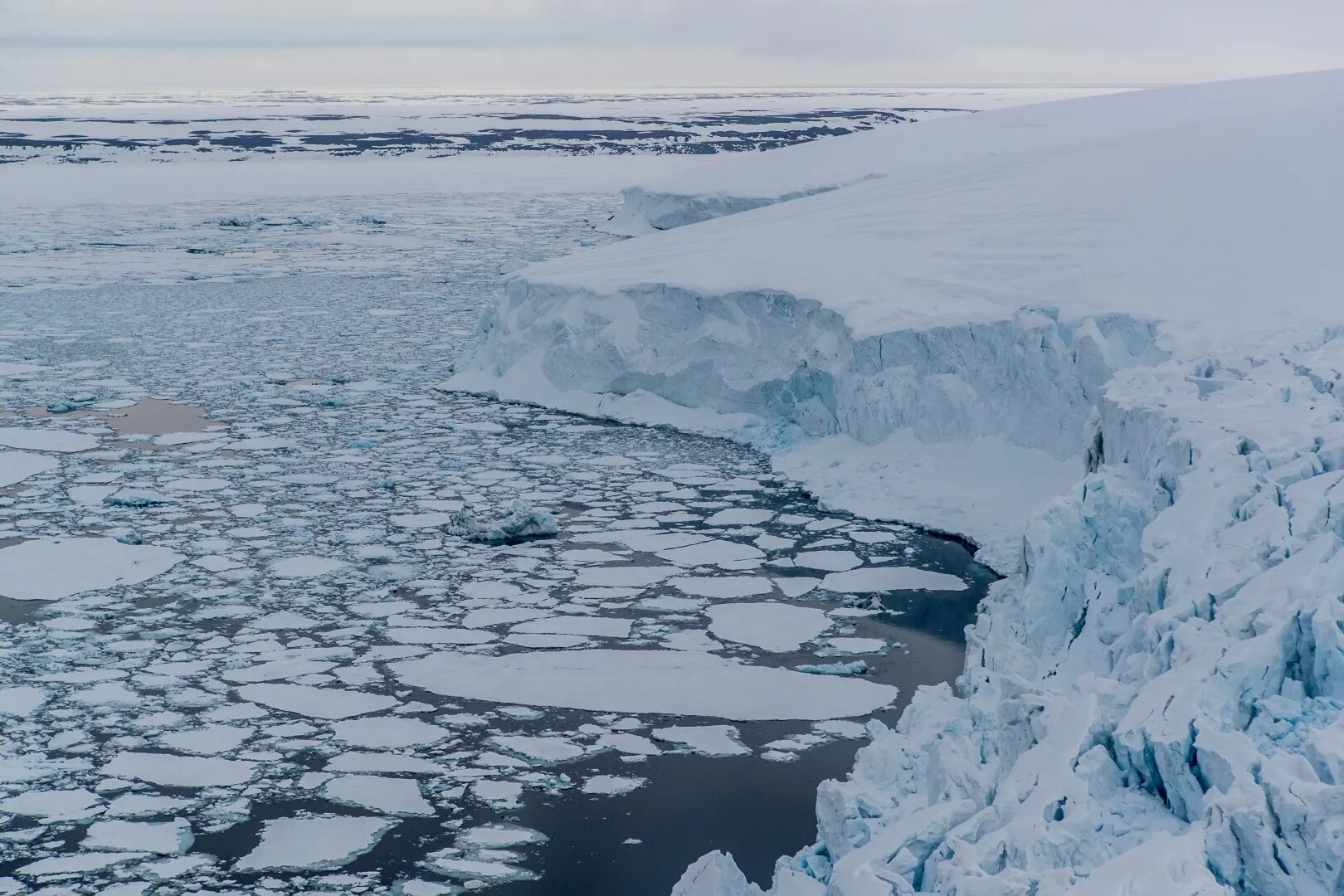 Пролет лед. Северный Ледовитый океан паковый лед. Во льдах Арктики. Арктические льды. Паковый лёд.