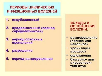 Периоды развития инфекционных заболеваний