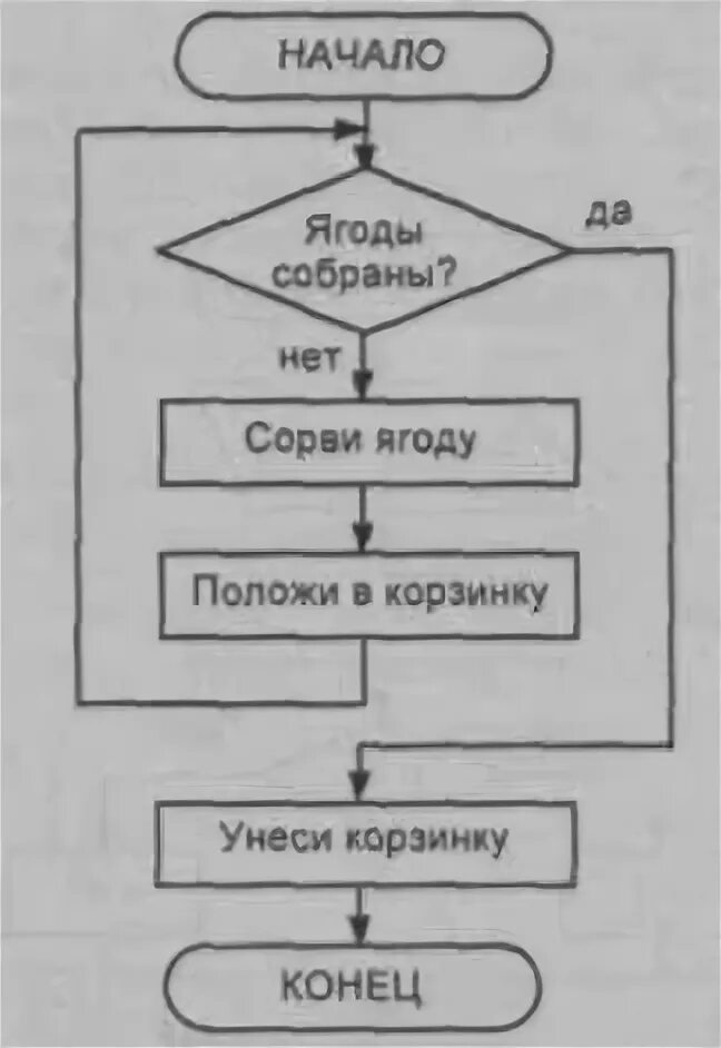 Однажды бабушка попросила машу помочь собрать ягоды. Однажды бабушка попросила машу помочь собрать ягоды. Алгоритм про ягоды. Что такое алгоритм информатика 6 класс босова. Однажды бабушка попросила машу помочь собрать ягоды.