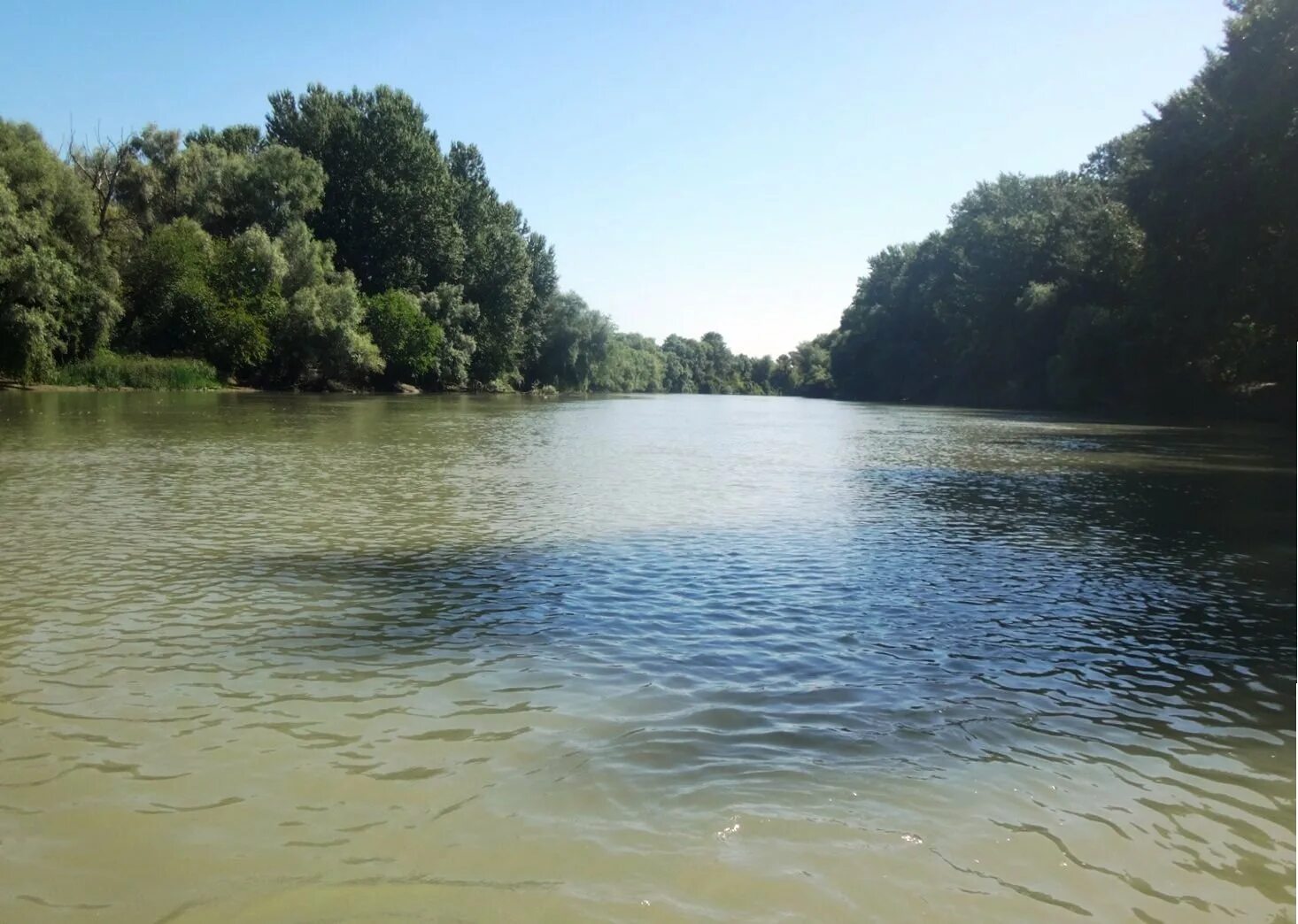 Кубань уровень воды в реке сегодня краснодар. Река Кубань. Река Кубань Невинномысск. Река Кубань Краснодарский край. Краснодар Кубань река природа.