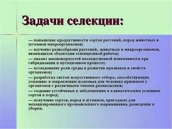 Селекция животных задачи. Задачи современной селекции растений. Основные задачи селекции. Основные достижения современной селекции растений. Задачи селекции животных.