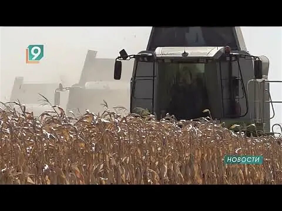 Работники сельского хозяйства. Специалист сельского хозяйства 9. Специалист сельского хозяйства 9. Специалист сельского хозяйства. Работницы в поле.