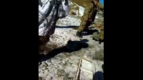 Армянин извинился