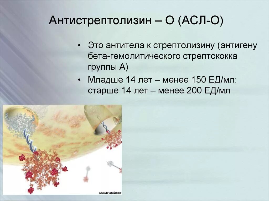 Повышение асло