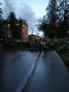 Осадки чистополь
