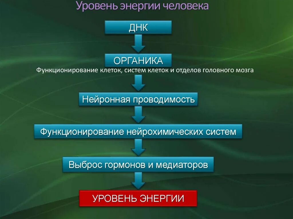 Уровни энергии человека. Уровень человеческой энергии. Уровни энергетики человека. Показатели энергии человека. Информация на уровне энергий