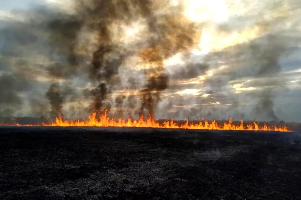 Поле горит. Выжженное поле. Горящее поле. Сгоревшее поле. Сжигание полей