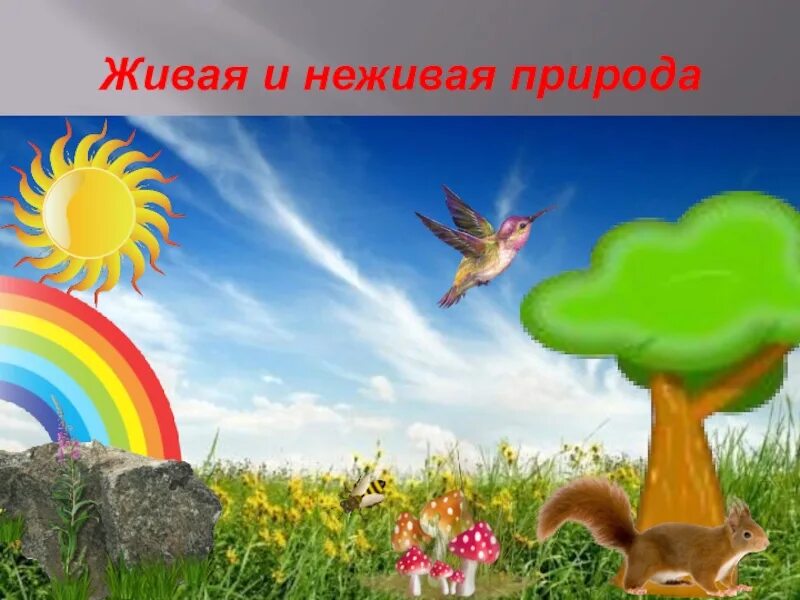 Что изучает неживую природу