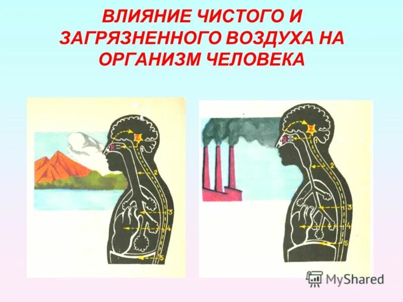 влияние загрязнения атмосферы на человека. влияние загрязнения воздуха на человека. влияние загрязнённого воздухна организм человека. влияние загрязнения воздуха на человека. ионизация воздуха влияние на человека.